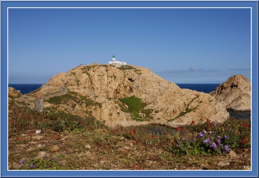 Phare de l'Ile Rousse.