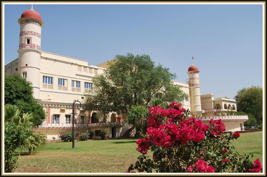 Sariska - Rajasthan