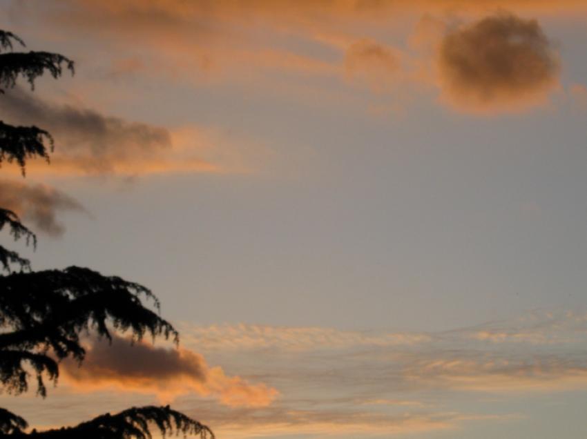 un ciel et un morceau d'arbre