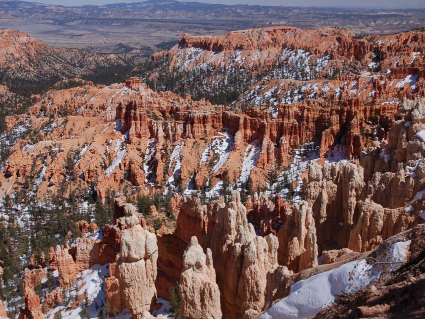 Bryce