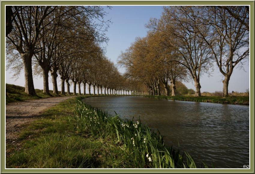 Canal du Midi