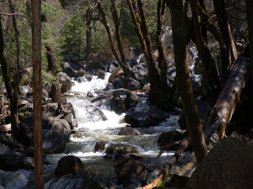 torrent