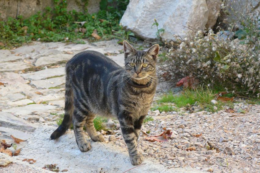 Une jolie rencontre