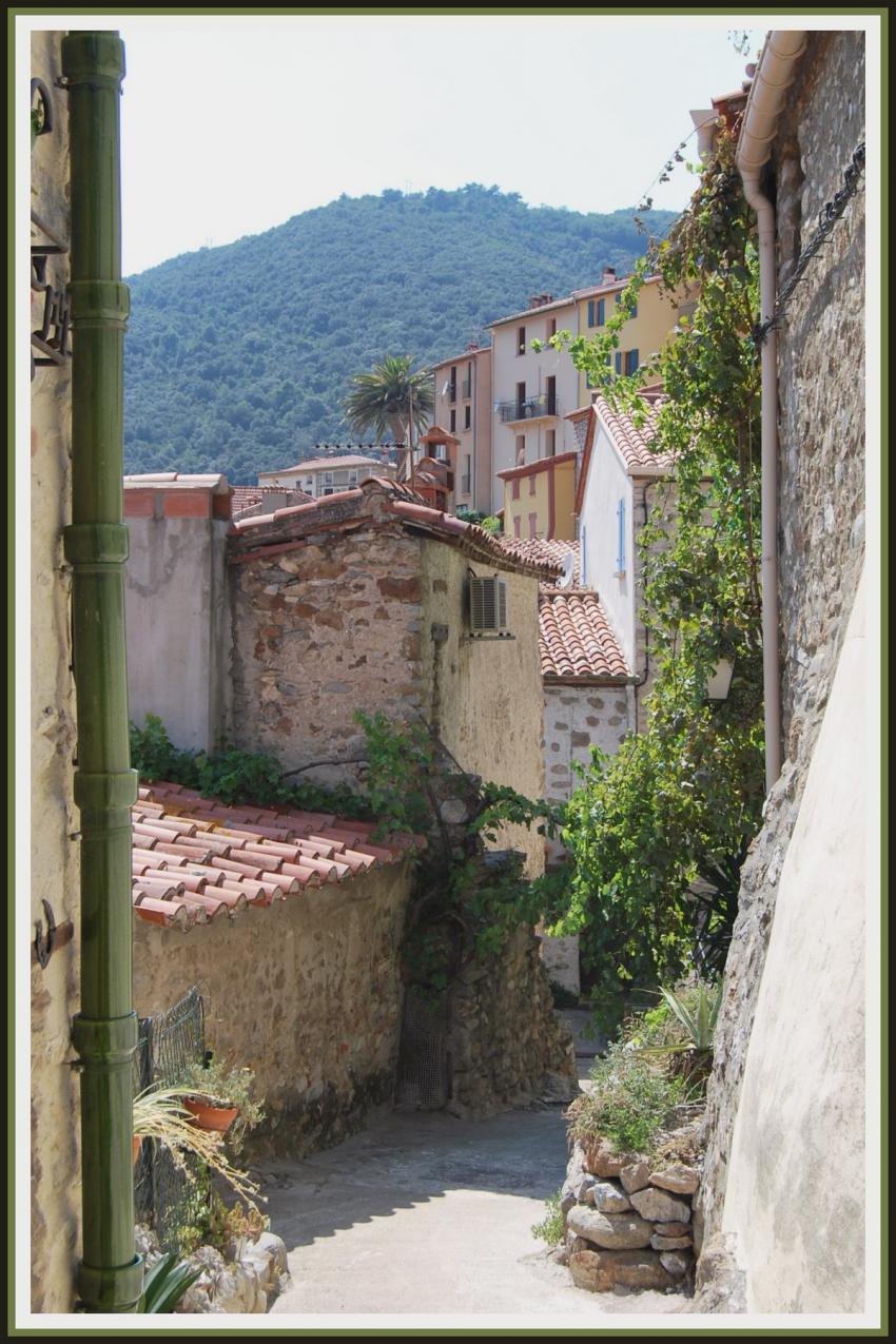 Rue de Palalda (66)