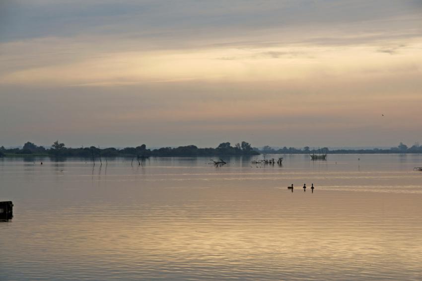 Lac de Grand Lieu.