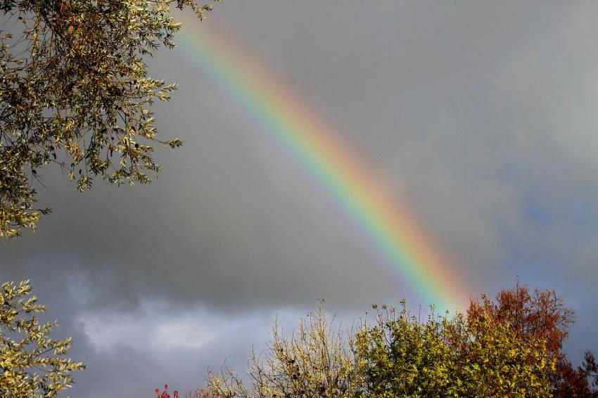 Arc-en-ciel