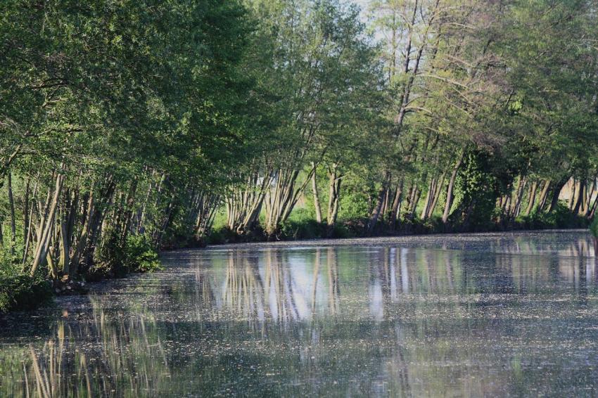 Canal du Rhne au Rhin