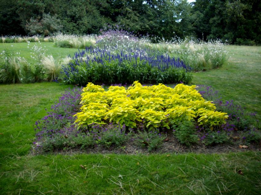 Massif au Parc de L'Hermitage