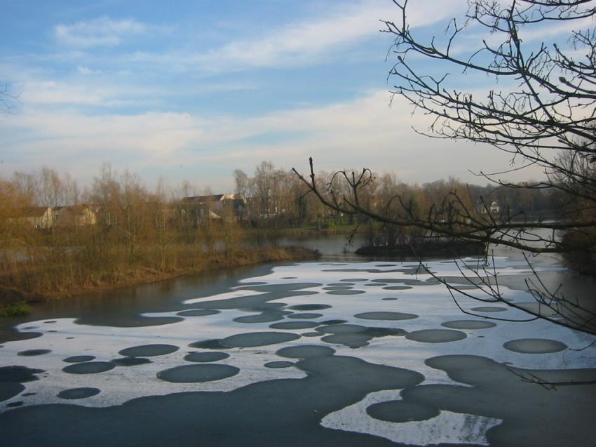 Ronds dans la glace