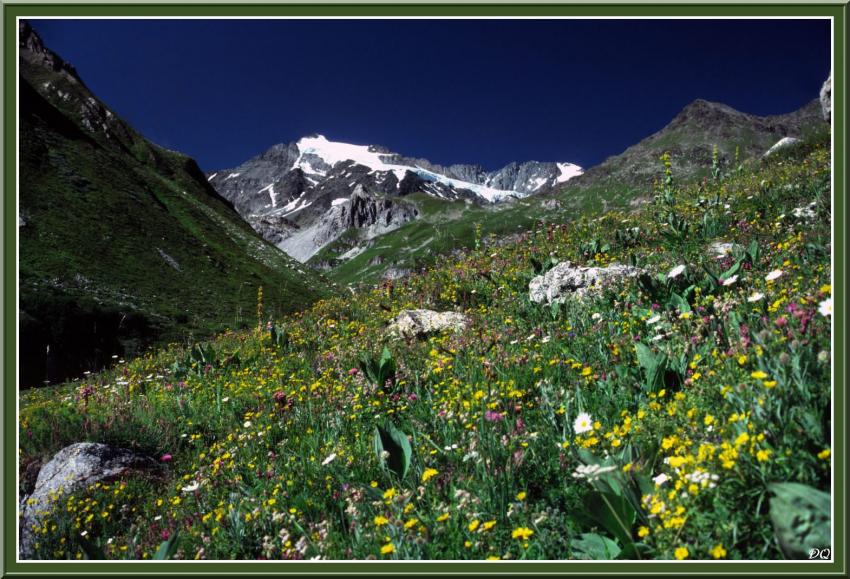 Pralognan la Vanoise