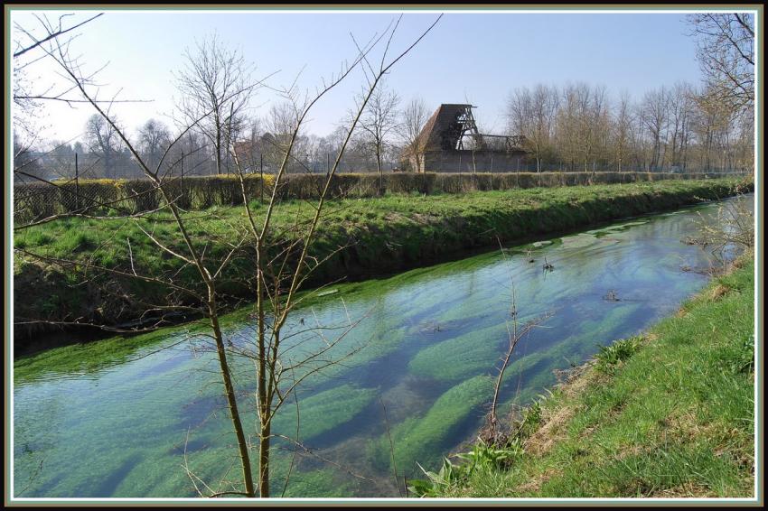 Ruisseau dans le saint-quentinois