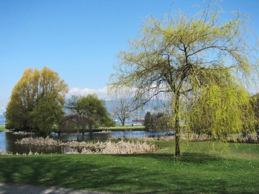 Jericho Park Vancouver Canada