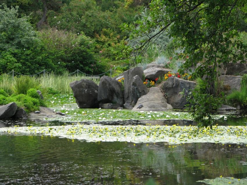 Au jardin botanique