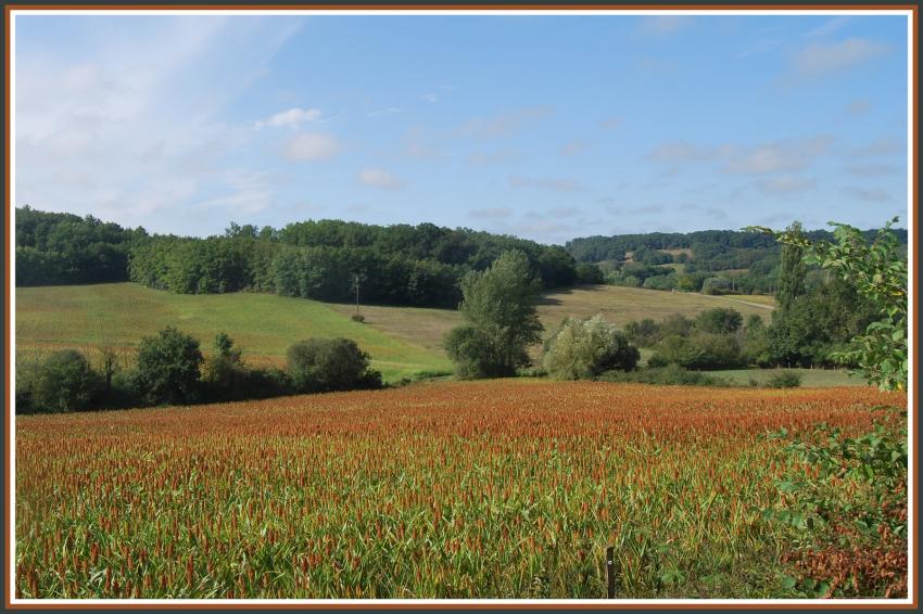 Paysage du Lot-et-Garonne