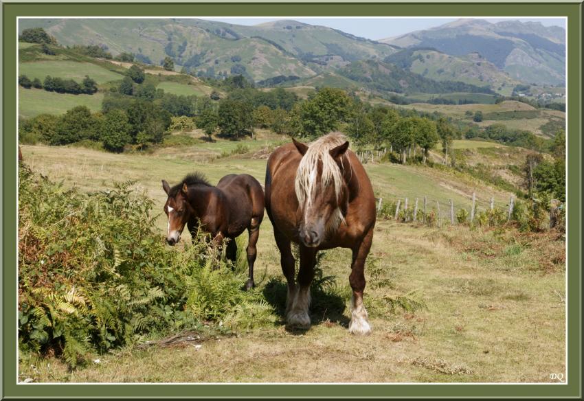 Scne pastorale