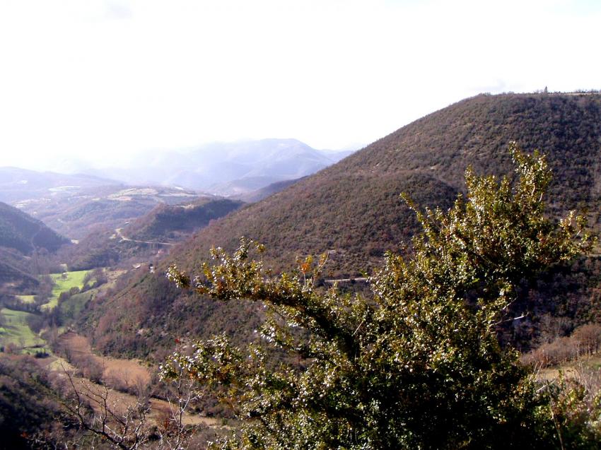 paysage