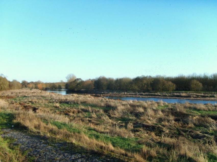 la vieille Loire