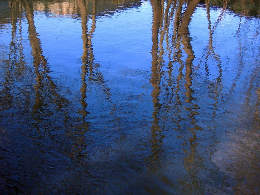 Reflets charentais