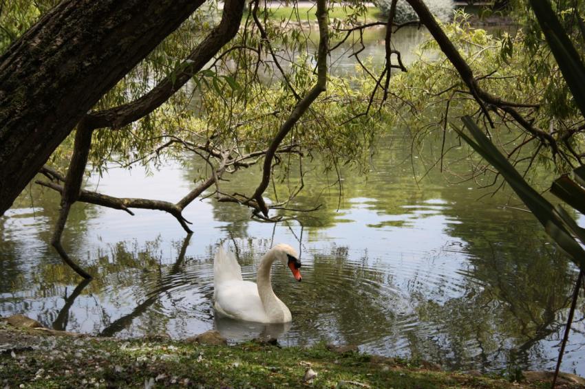 Parque Isabel la Catlica, Gijn (Asturias)