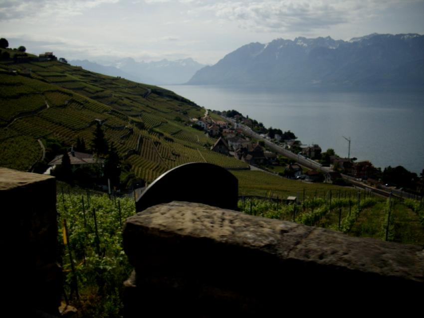 Lavaux avant l'orage