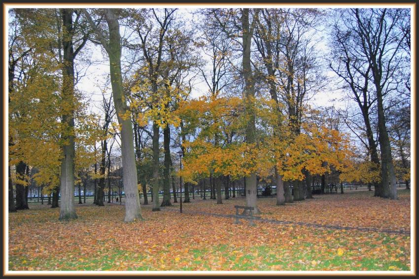 St-Quentin (02) Les Champs Elyses