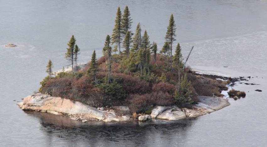 Ile