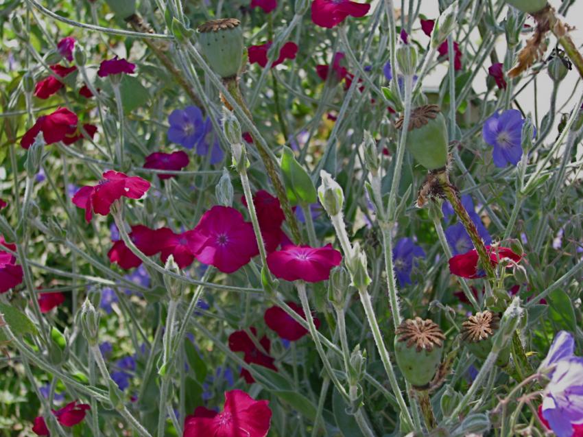 Palette de couleurs