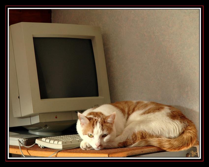Poupsie et son Mac