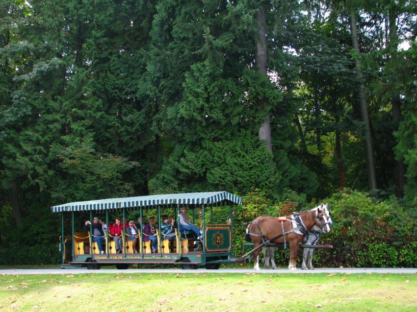 Pour faire le tour du parc et admirer le paysage