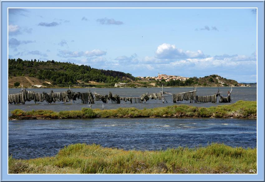 Etang de BAGES