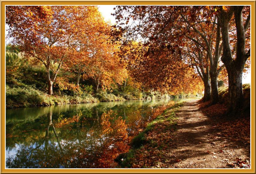 Canal du Midi