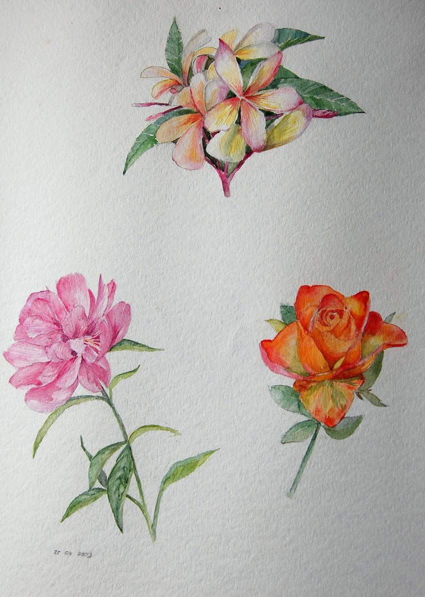 floralies