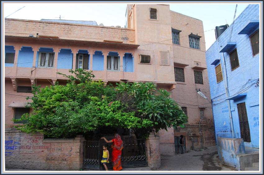 Jodhpur - Rajasthan
