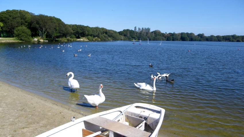 La Bretagne et ses paysages