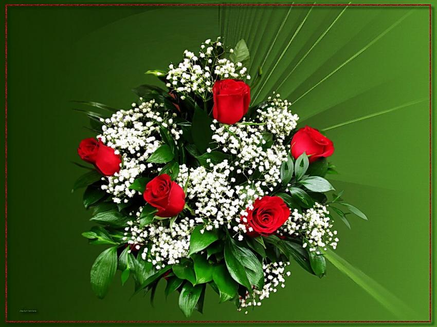 Bouquet de roses