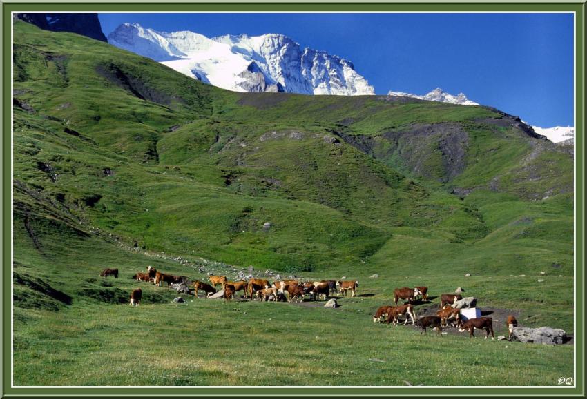 LaGrave,Plateau de Paris