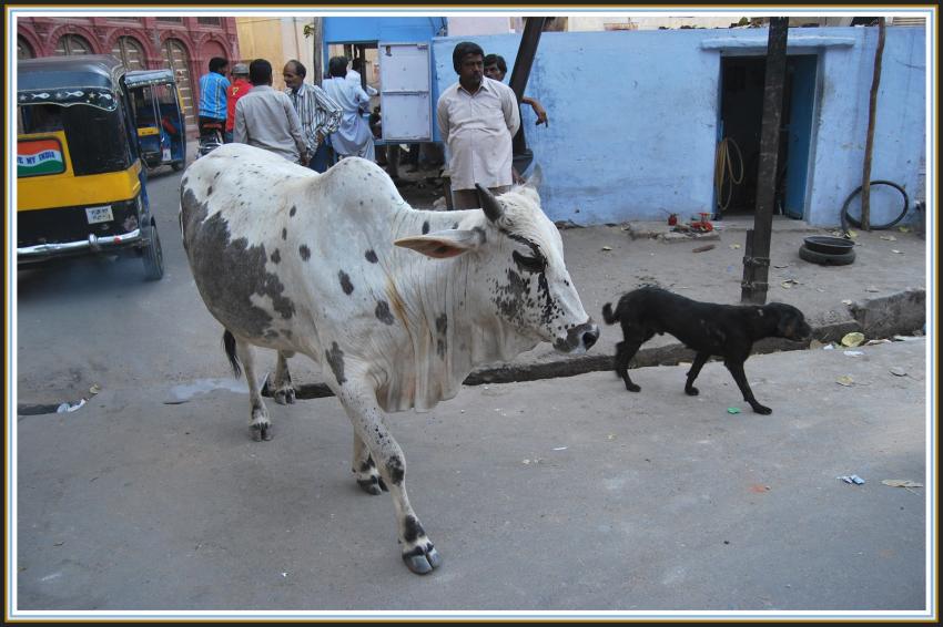 Bikaner - Rajasthan