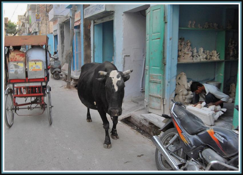 Jaipur - Rajasthan