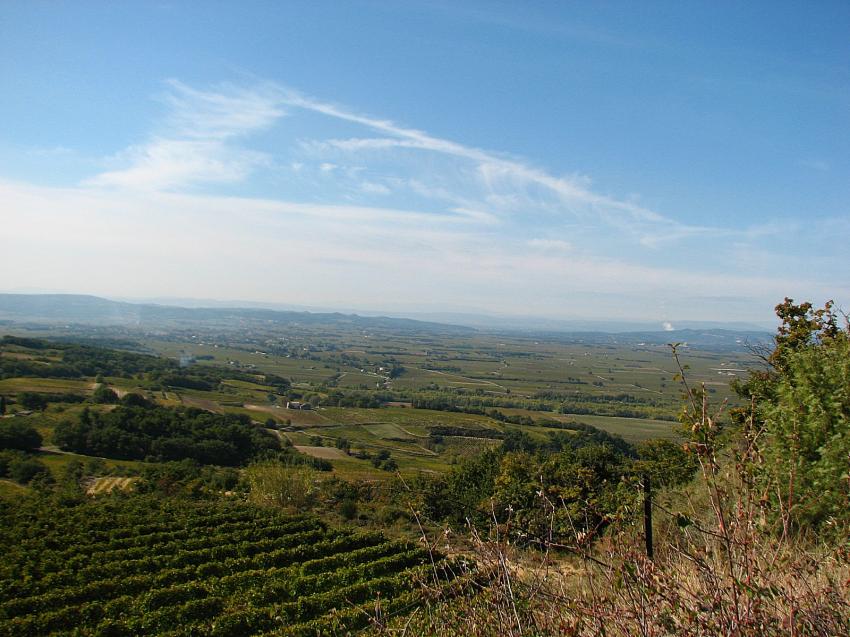 Vignobles