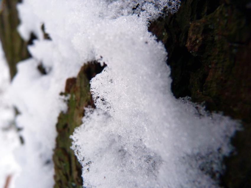 Cristaux de glace