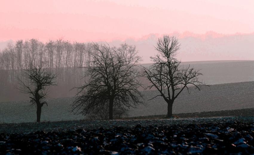 La campagne