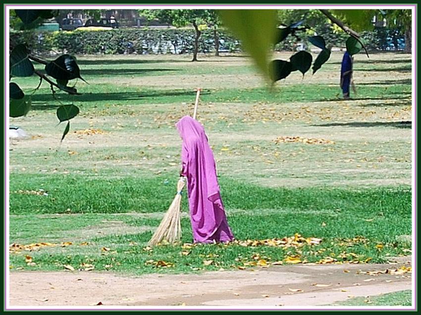 Delhi - Balayeuse