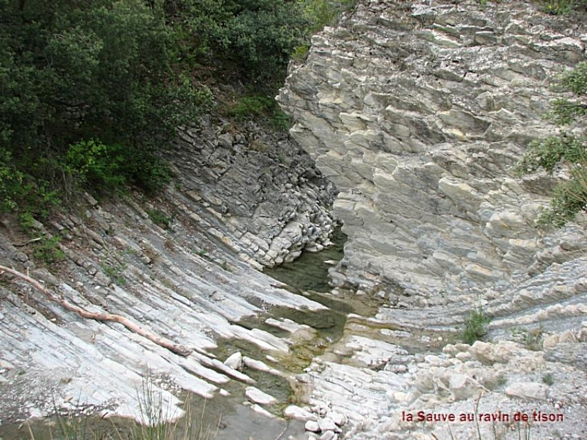 La combe de Sauve