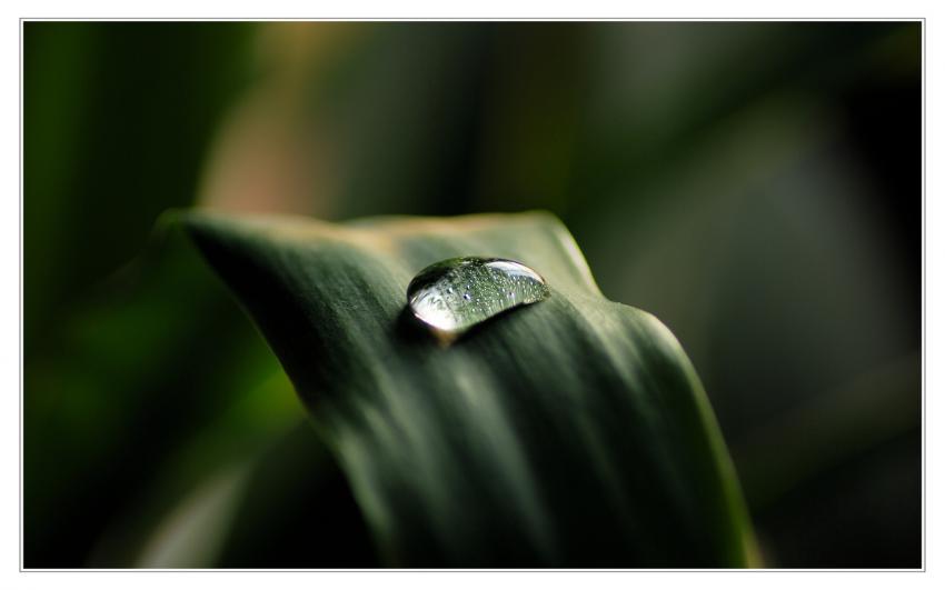 goutte d'eau