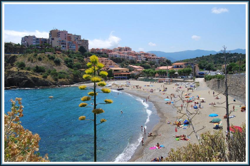 Banyuls (66) Une plage