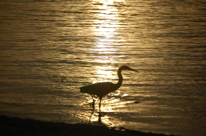 coucher de soleil