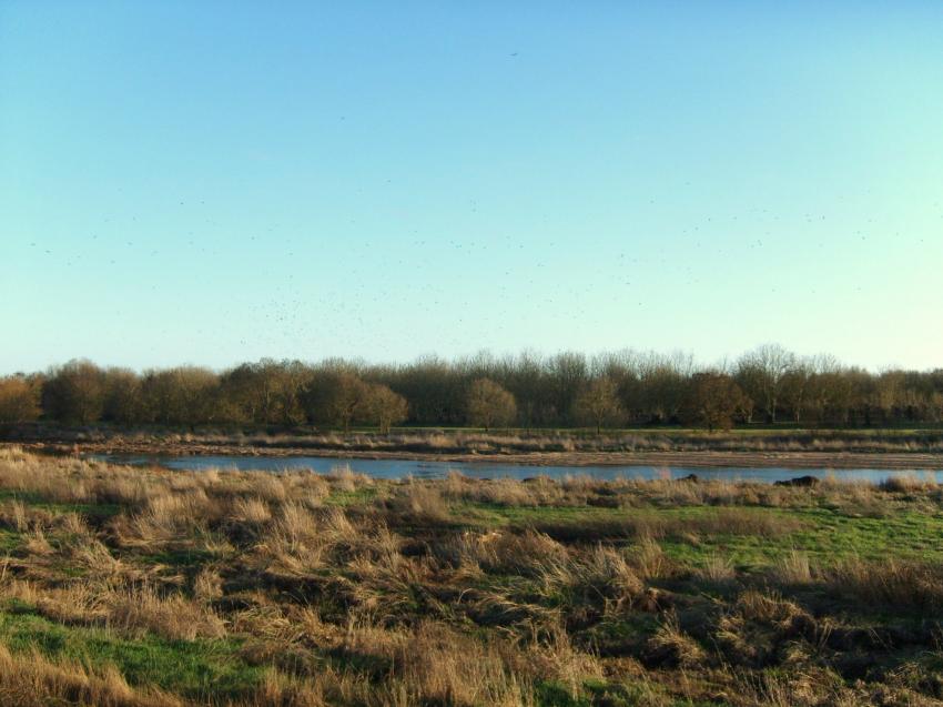 la vieille Loire en hiver