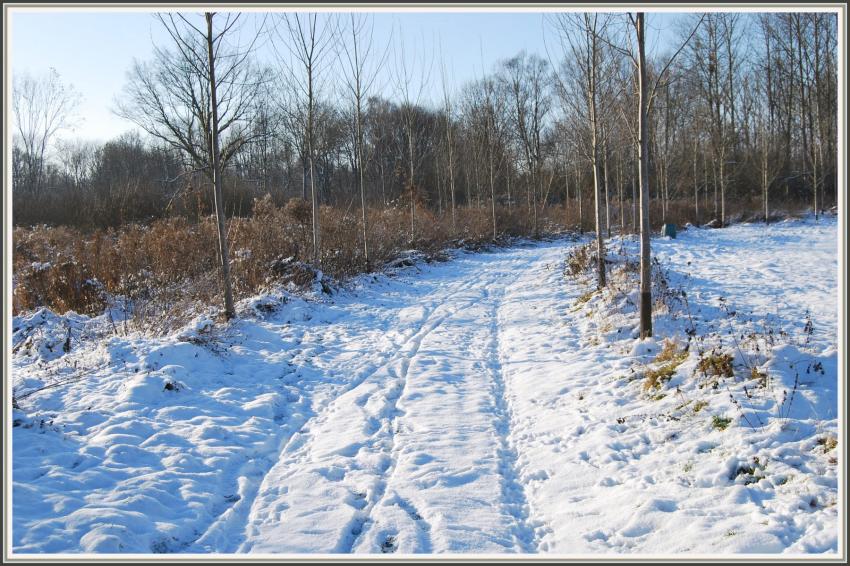Promenade en hiver