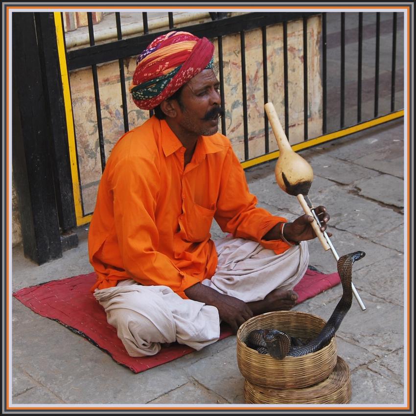 Delhi - Charmeur de serpents