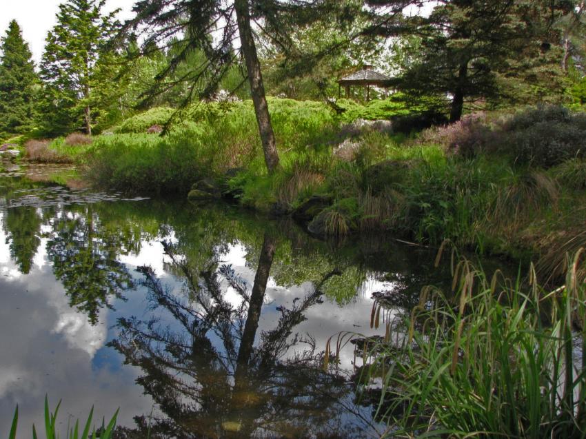 Reflets au jardin botanique